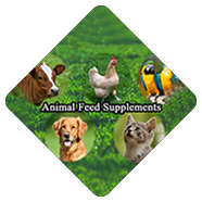 Feed Supplements