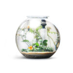 fish tank (3)