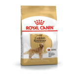 royal canin golden retriever (1)