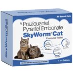 skyworm-cat