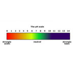 universal indicator solution ph scale