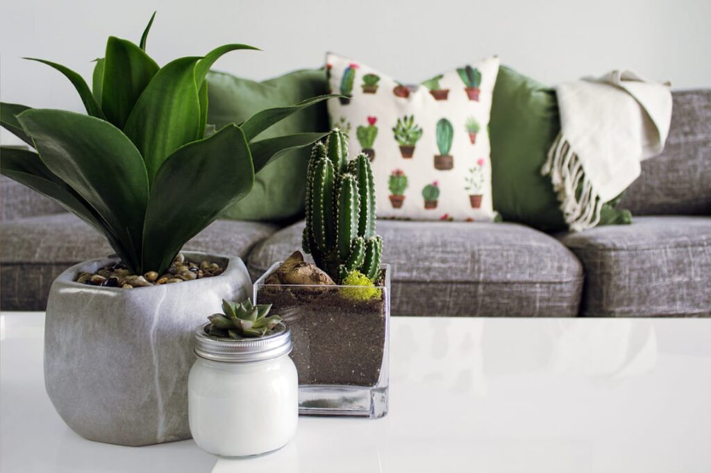 free download small house plants